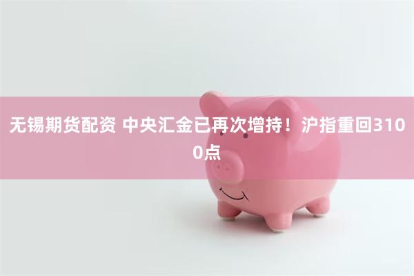 无锡期货配资 中央汇金已再次增持！沪指重回3100点