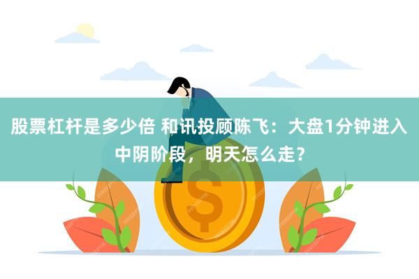 股票杠杆是多少倍 和讯投顾陈飞：大盘1分钟进入中阴阶段，明天怎么走？