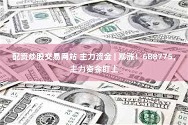 配资炒股交易网站 主力资金 | 暴涨！688775，主力资金盯上