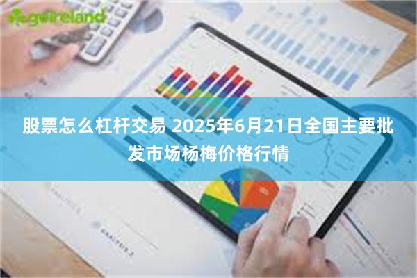 股票怎么杠杆交易 2025年6月21日全国主要批发市场杨梅价格行情