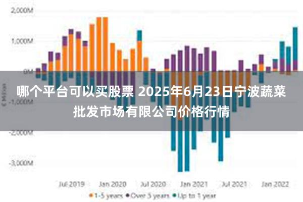 哪个平台可以买股票 2025年6月23日宁波蔬菜批发市场有限公司价格行情