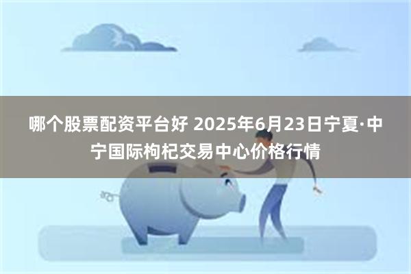 哪个股票配资平台好 2025年6月23日宁夏·中宁国际枸杞交易中心价格行情