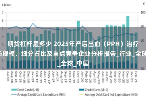 期货杠杆是多少 2025年产后出血（PPH）治疗仪市场规模、细分占比及重点竞争企业分析报告_行业_全球_中国