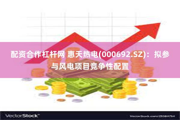 配资合作杠杆网 惠天热电(000692.SZ)：拟参与风电项目竞争性配置