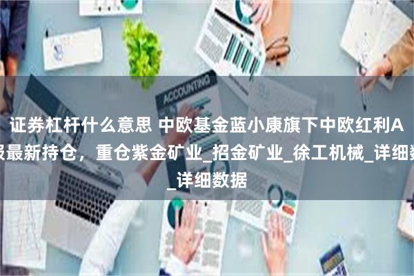 证券杠杆什么意思 中欧基金蓝小康旗下中欧红利A中报最新持仓，重仓紫金矿业_招金矿业_徐工机械_详细数据