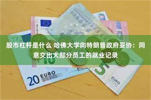 股市杠杆是什么 哈佛大学向特朗普政府妥协：同意交出大部分员工的就业记录