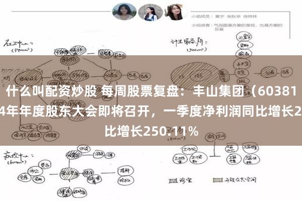 什么叫配资炒股 每周股票复盘：丰山集团（603810）2024年年度股东大会即将召开，一季度净利润同比增长250.11%