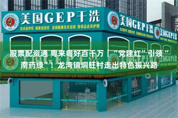 股票配资通 粤来粤好百千万｜“党建红”引领“南药绿”！龙湾镇垌旺村走出特色振兴路