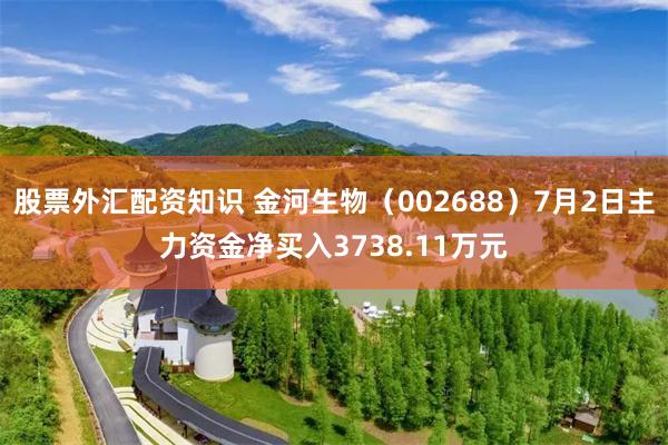 股票外汇配资知识 金河生物（002688）7月2日主力资金净买入3738.11万元