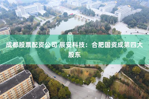 成都股票配资公司 辰安科技：合肥国资成第四大股东