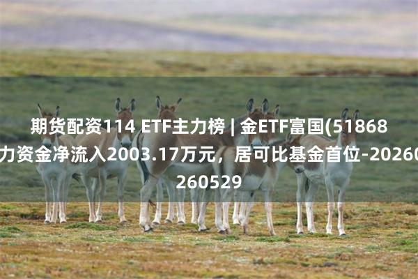 期货配资114 ETF主力榜 | 金ETF富国(518680)主力资金净流入2003.17万元，居可比基金首位-20260529