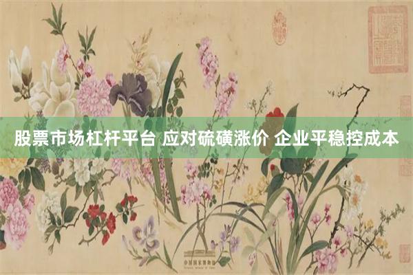 股票市场杠杆平台 应对硫磺涨价 企业平稳控成本