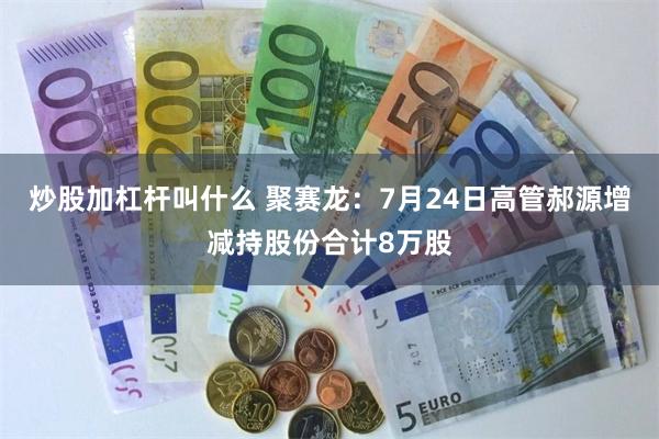 炒股加杠杆叫什么 聚赛龙：7月24日高管郝源增减持股份合计8万股