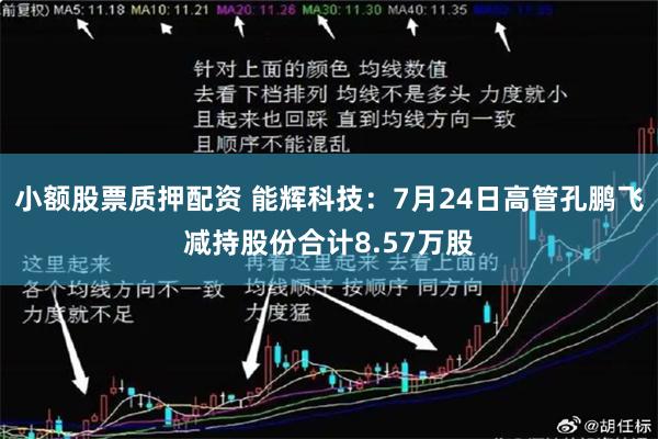 小额股票质押配资 能辉科技：7月24日高管孔鹏飞减持股份合计8.57万股