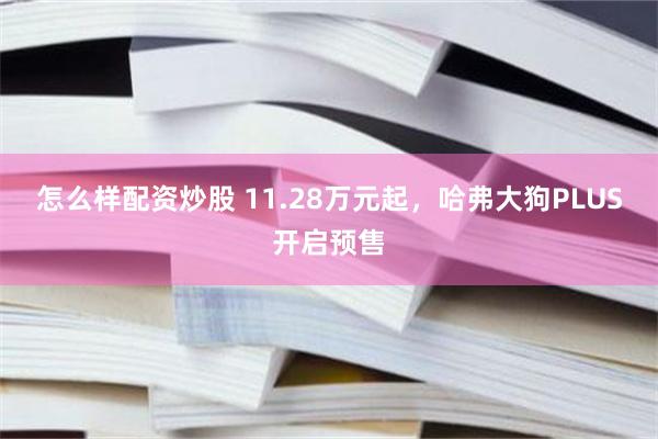 怎么样配资炒股 11.28万元起，哈弗大狗PLUS开启预售