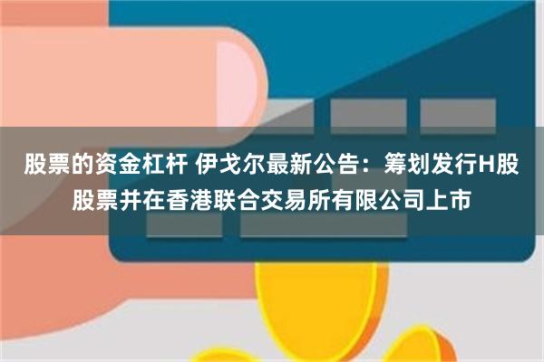 股票的资金杠杆 伊戈尔最新公告：筹划发行H股股票并在香港联合交易所有限公司上市