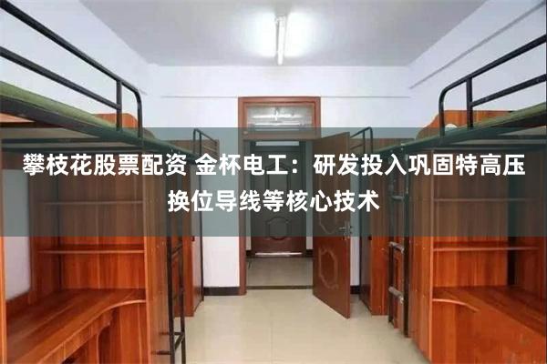 攀枝花股票配资 金杯电工：研发投入巩固特高压换位导线等核心技术