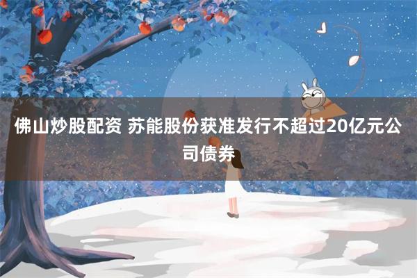 佛山炒股配资 苏能股份获准发行不超过20亿元公司债券