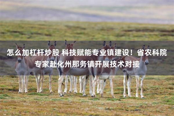 怎么加杠杆炒股 科技赋能专业镇建设！省农科院专家赴化州那务镇开展技术对接