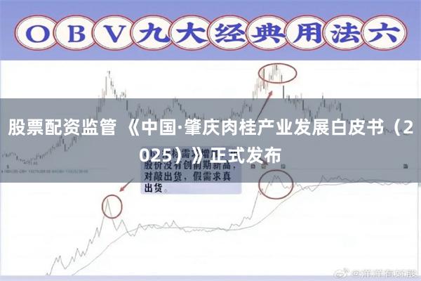 股票配资监管 《中国·肇庆肉桂产业发展白皮书（2025）》正式发布