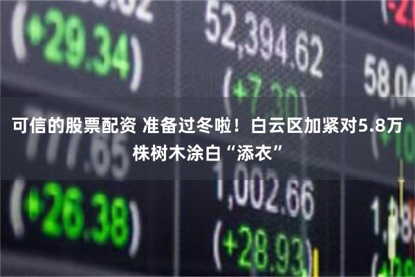 可信的股票配资 准备过冬啦！白云区加紧对5.8万株树木涂白“添衣”