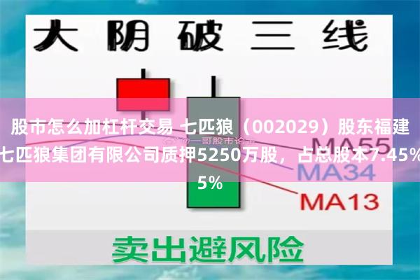 股市怎么加杠杆交易 七匹狼（002029）股东福建七匹狼集团有限公司质押5250万股，占总股本7.45%