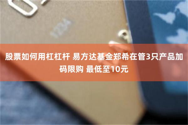 股票如何用杠杠杆 易方达基金郑希在管3只产品加码限购 最低至10元