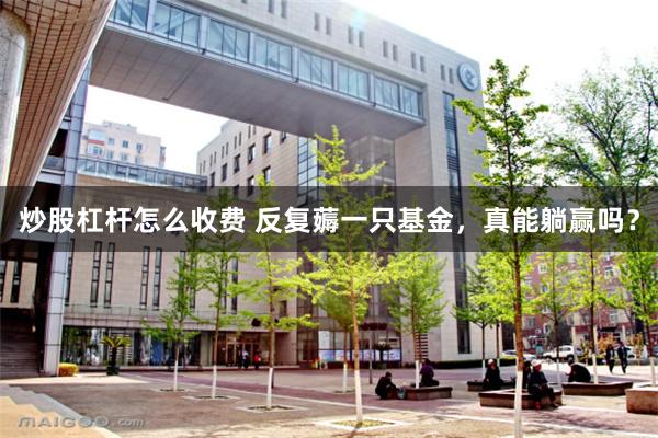 炒股杠杆怎么收费 反复薅一只基金,真能躺赢吗?