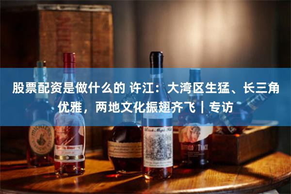 股票配资是做什么的 许江：大湾区生猛、长三角优雅，两地文化振翅齐飞｜专访