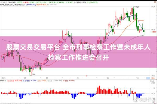 股票交易交易平台 全市刑事检察工作暨未成年人检察工作推进会召开