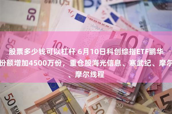 股票多少钱可以杠杆 6月10日科创综指ETF鹏华基金份额增加4500万份,重仓股海光信息、寒武纪、摩尔线程
