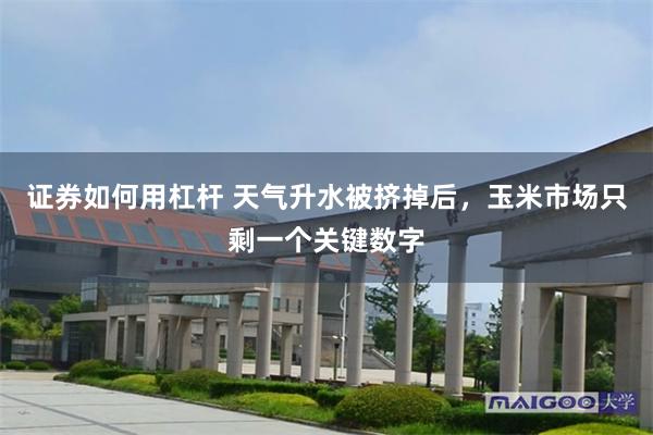 证券如何用杠杆 天气升水被挤掉后，玉米市场只剩一个关键数字