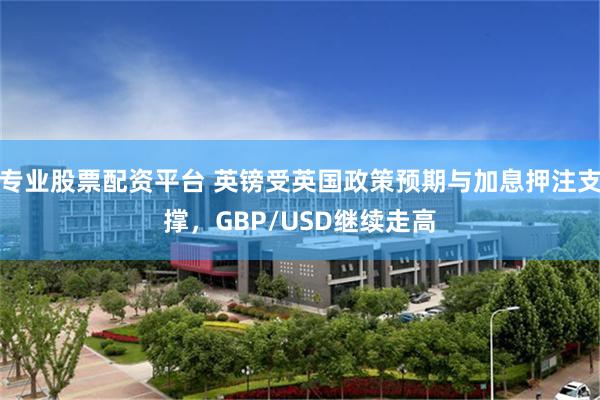 专业股票配资平台 英镑受英国政策预期与加息押注支撑，GBP/USD继续走高