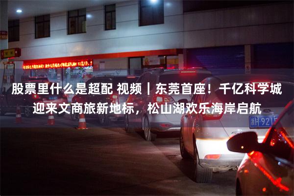 股票里什么是超配 视频|东莞首座!千亿科学城迎来文商旅新地标,松山湖欢乐海岸启航