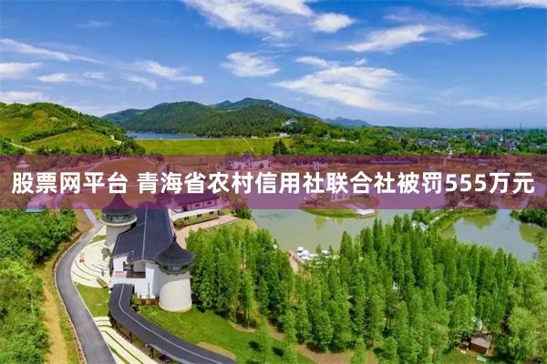 股票网平台 青海省农村信用社联合社被罚555万元