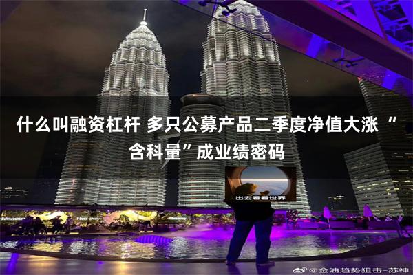 什么叫融资杠杆 多只公募产品二季度净值大涨 “含科量”成业绩密码