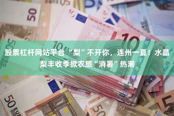 股票杠杆网站平台 “梨”不开你，连州一夏！水晶梨丰收季掀农旅“消暑”热潮