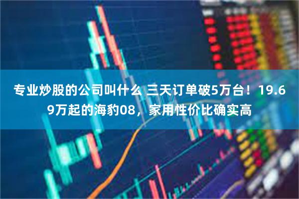 专业炒股的公司叫什么 三天订单破5万台！19.69万起的海豹08，家用性价比确实高