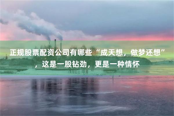 正规股票配资公司有哪些 “成天想，做梦还想”，这是一股钻劲，更是一种情怀