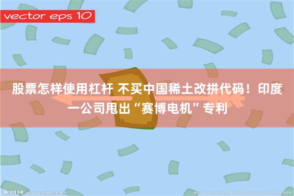 股票怎样使用杠杆 不买中国稀土改拼代码！印度一公司甩出“赛博电机”专利