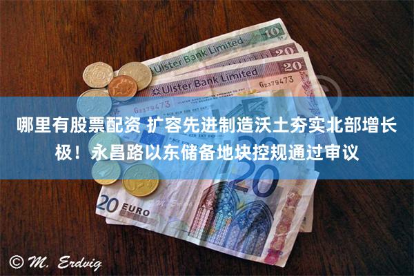 哪里有股票配资 扩容先进制造沃土夯实北部增长极！永昌路以东储备地块控规通过审议