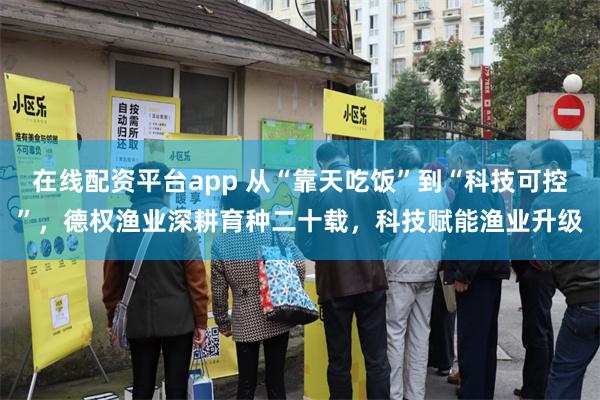 在线配资平台app 从“靠天吃饭”到“科技可控”，德权渔业深耕育种二十载，科技赋能渔业升级