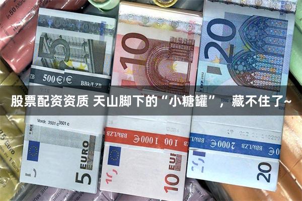 股票配资资质 天山脚下的“小糖罐”，藏不住了~