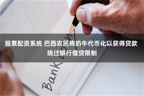 股票配资系统 巴西农民将奶牛代币化以获得贷款 绕过银行借贷限制