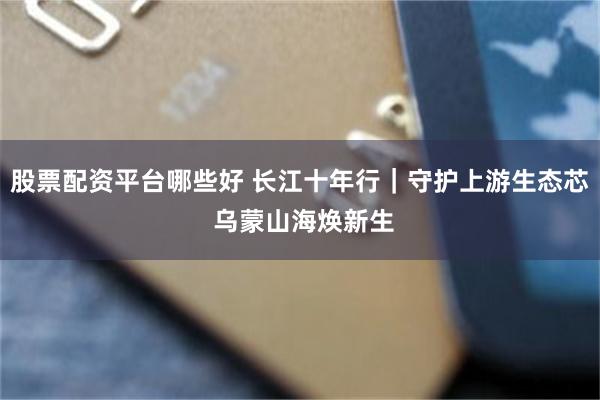 股票配资平台哪些好 长江十年行｜守护上游生态芯 乌蒙山海焕新生