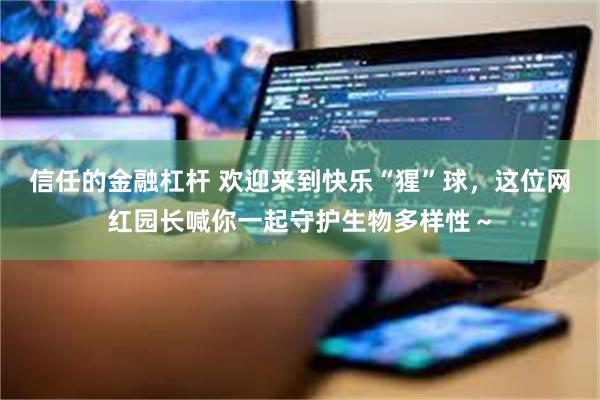 信任的金融杠杆 欢迎来到快乐“猩”球，这位网红园长喊你一起守护生物多样性～