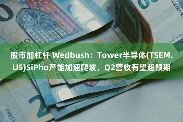 股市加杠杆 Wedbush：Tower半导体(TSEM.US)SiPho产能加速爬坡，Q2营收有望超预期