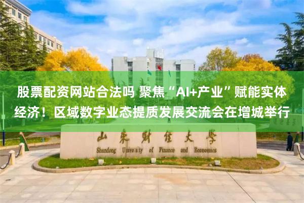 股票配资网站合法吗 聚焦“AI+产业”赋能实体经济！区域数字业态提质发展交流会在增城举行
