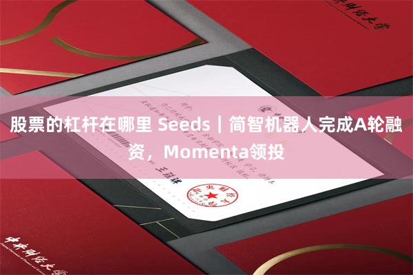 股票的杠杆在哪里 Seeds｜简智机器人完成A轮融资，Momenta领投