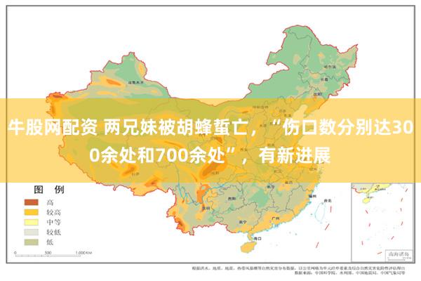 牛股网配资 两兄妹被胡蜂蜇亡，“伤口数分别达300余处和700余处”，有新进展